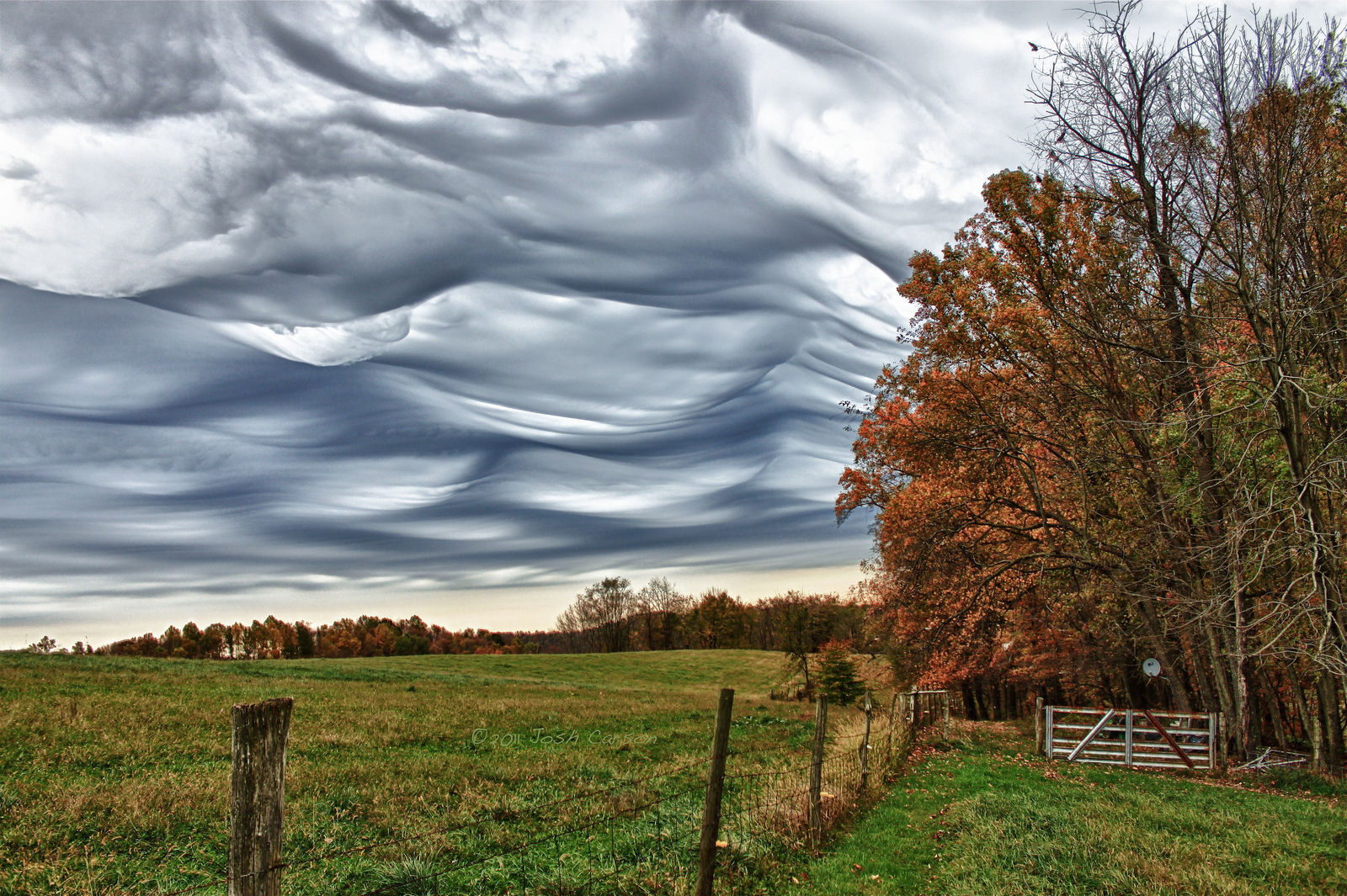 Incrvel Asperatus