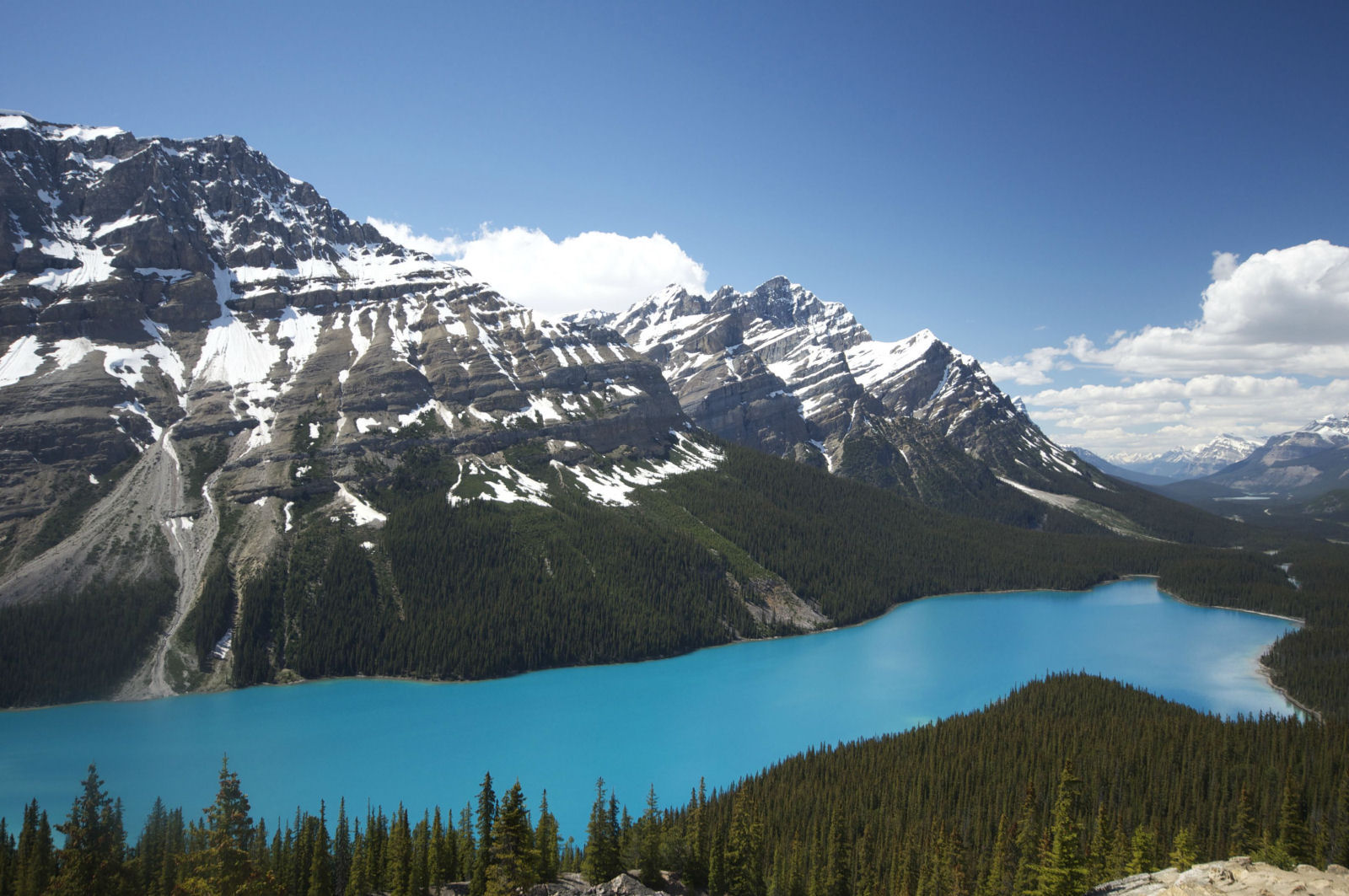 Lago Peyto