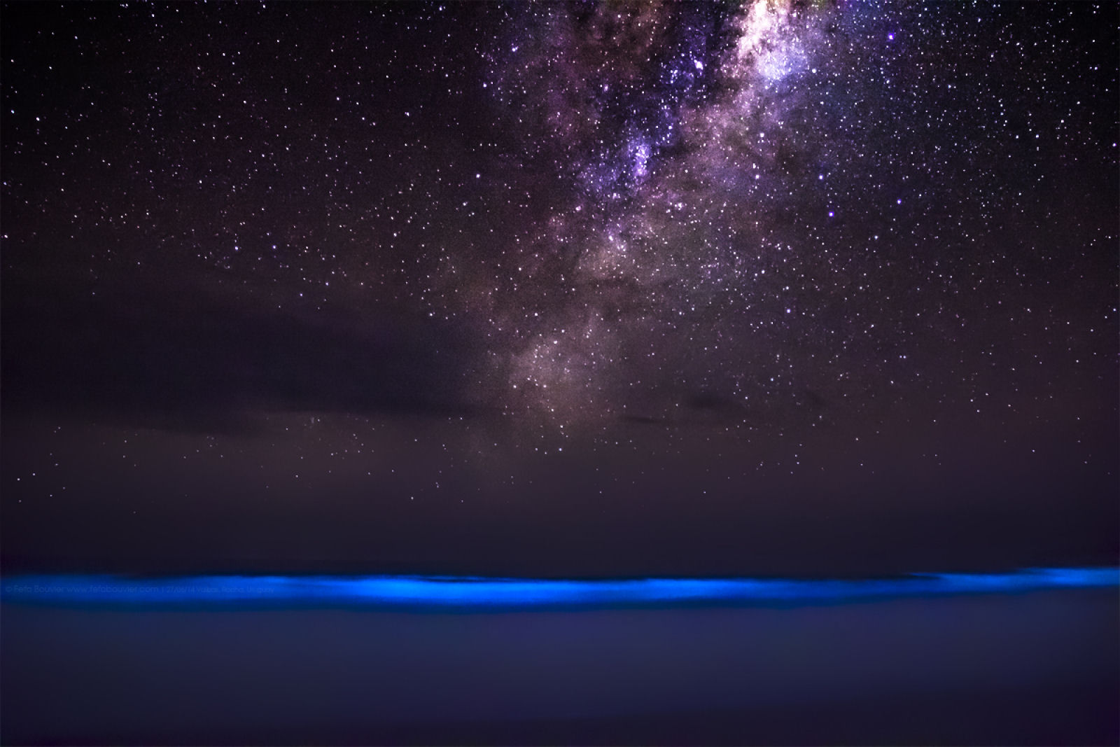 Quando a bioluminescncia encontra o Cosmos