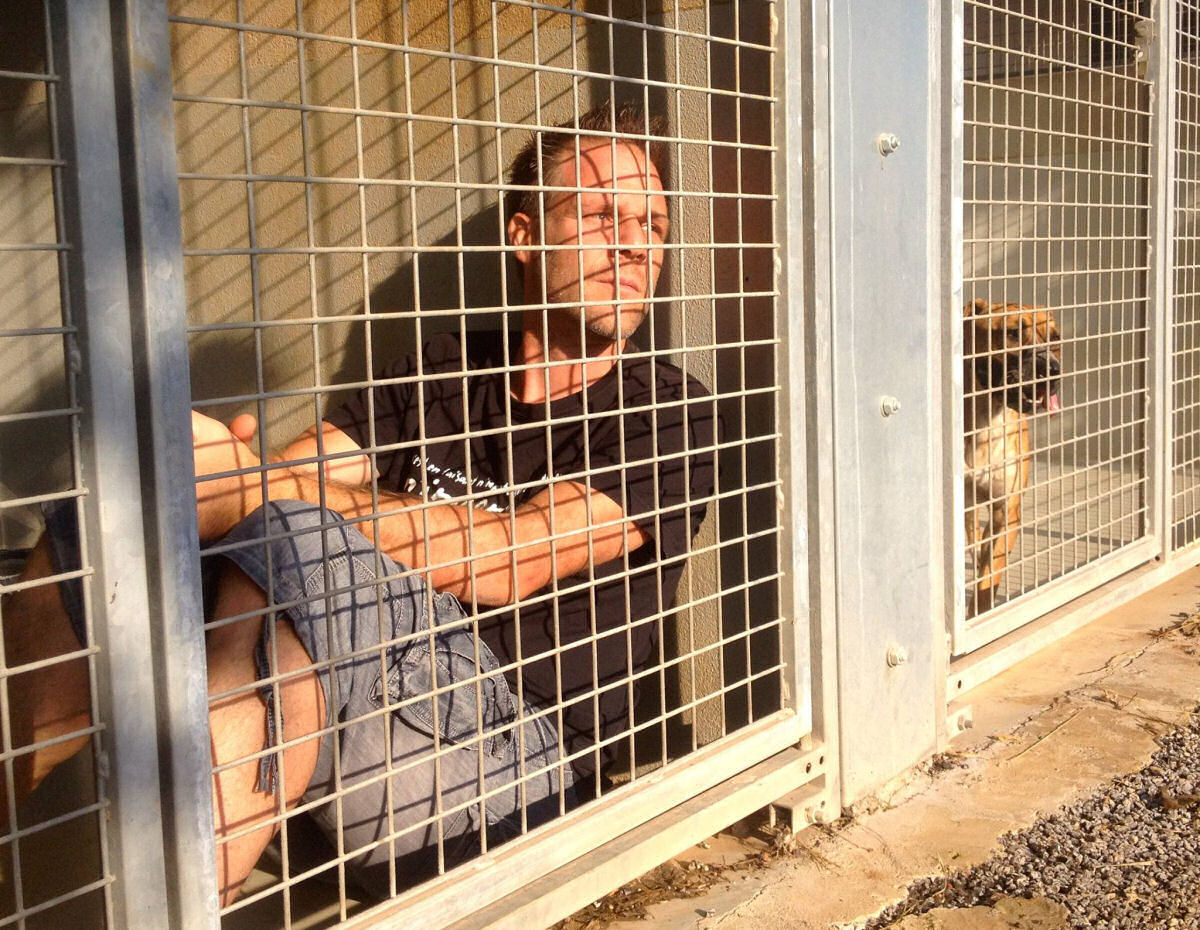 Comediante vai viver em um canil até todos os 300 cães residentes sejam adotados
