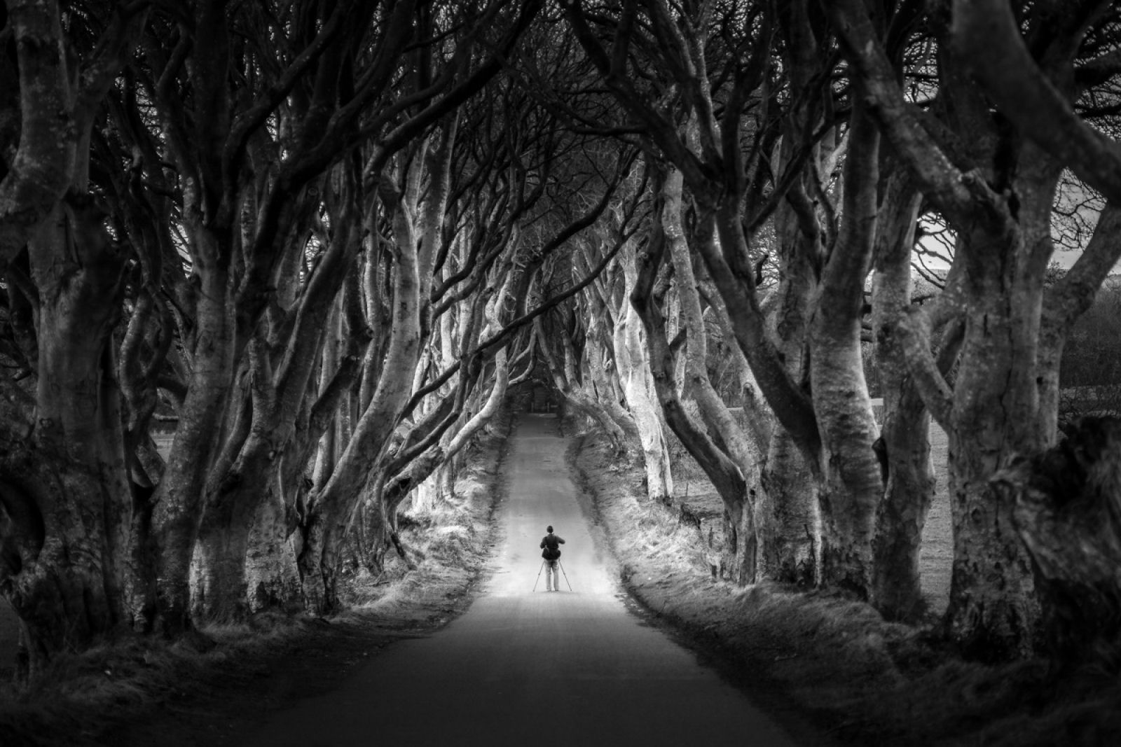 Dark Hedges da Irlanda do Norte