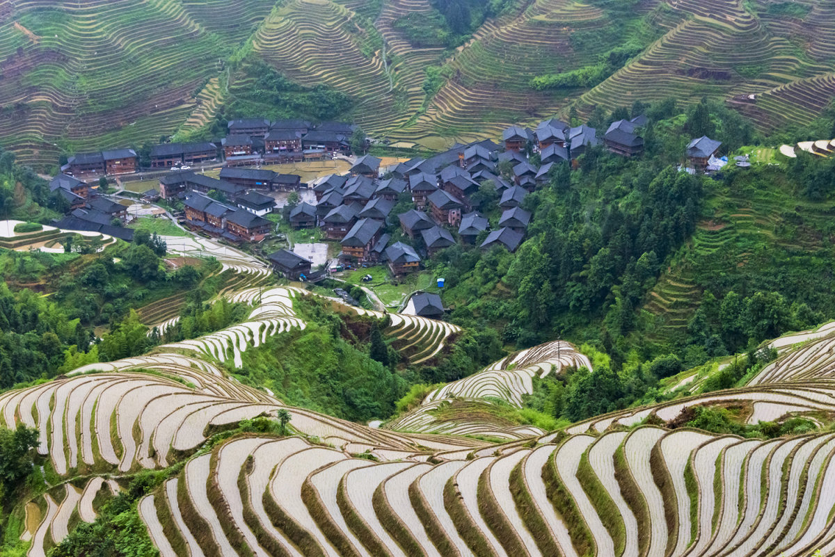 A beleza dos terraços de arroz